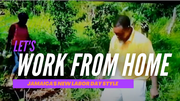  Labour Day, Work From Home, Jamaica