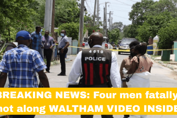 5 Fatal Shootings on Waltham Park Rd