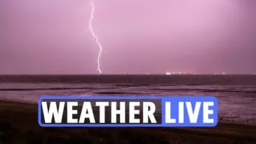 WEATHER LIVE